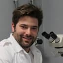 Nicolò Baranzini